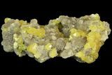 Sparkling Sulfur On Matrix Of Calcite Crystals - Poland #79236-2